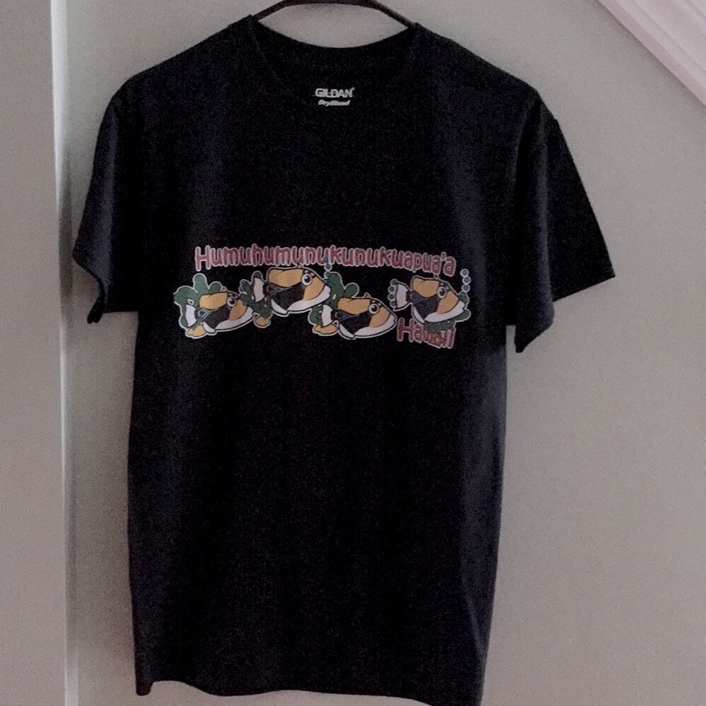 5 / $15 NWOT, Hawaii souvenir short sleeve t-shirt